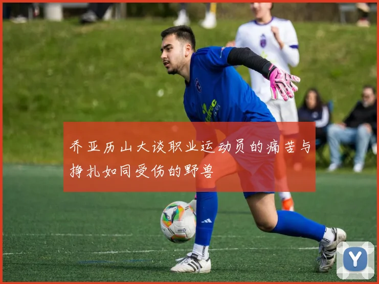 乔亚历山大谈职业运动员的痛苦与挣扎如同受伤的野兽