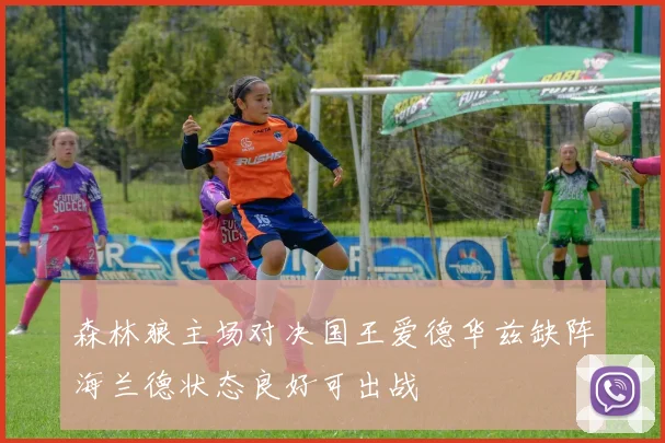 森林狼主场对决国王爱德华兹缺阵海兰德状态良好可出战