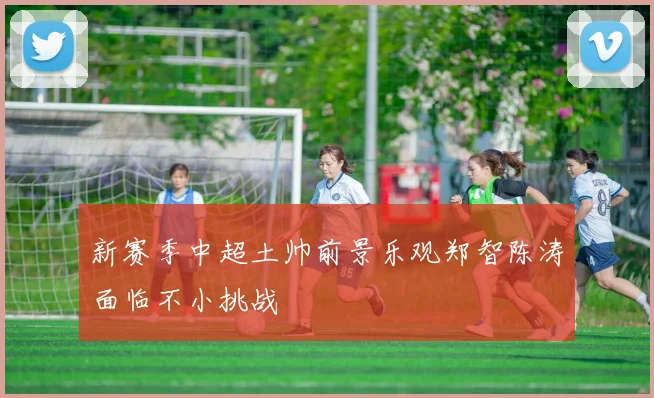新赛季中超土帅前景乐观郑智陈涛面临不小挑战