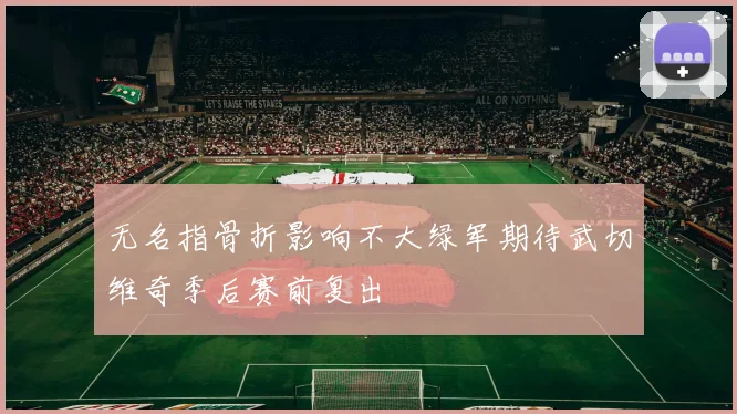 无名指骨折影响不大绿军期待武切维奇季后赛前复出