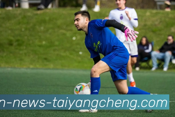 太阳城平台生态图