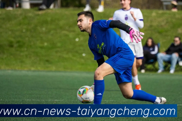 太阳城APP 封面图