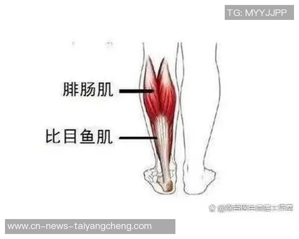阿拉巴因右小腿比目鱼肌超负荷伤情将缺席比赛7到10天 阿拉巴因右小腿比目鱼肌超负荷伤情将缺席比赛7到10天
